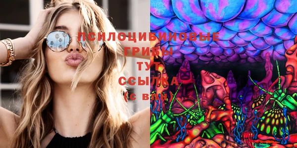индика Арсеньев