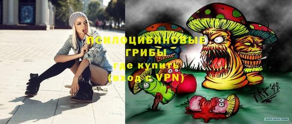 индика Арсеньев