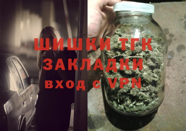 индика Арсеньев