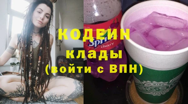 индика Арсеньев