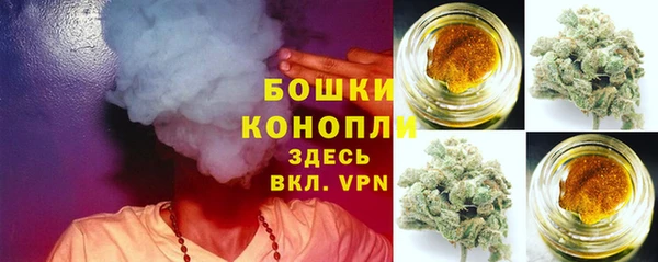 индика Арсеньев