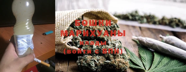 индика Арсеньев