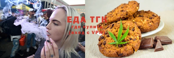 индика Арсеньев