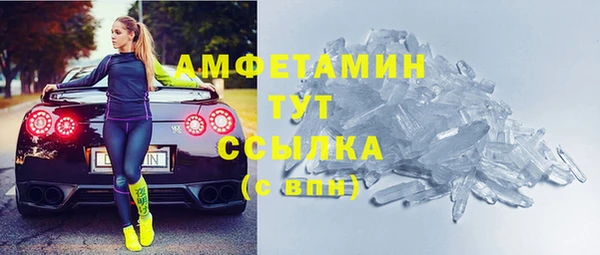 индика Арсеньев