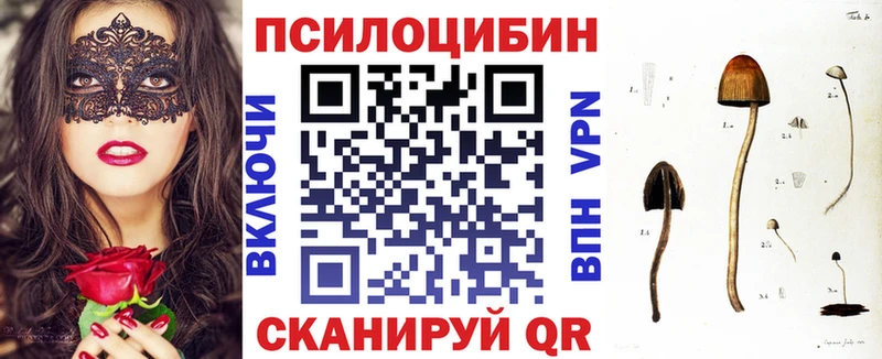 Псилоцибиновые грибы прущие грибы сайты даркнета телеграм Волгоград